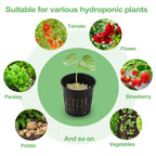 Reeooue 72 Sets Rockwool Cubes and Net Pots, 1.2 * 1.2 * 1.5 inch Rock Wool 72 Plugs & 72-Pack 2inch Net Cups for Hydroponics Growing Systemm, Garden Tower Supplies