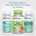 SOLARAY Irish Sea Moss 500 mg Naturally Occurring Vitamins, Minerals, and Fiber Herbal Support for Gut Health and More - Vegan, Gluten Free, Lab Verified - 60 Day Guarantee - 100 Servings, 100 VegCaps