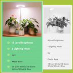 GTRUIIDY Desktop Grow Light, Full Spectrum Plant Light with Timer, Height Adjustable Halo Grow Lamp for Indoor Plants, 3 Lighting Modes for Seedlings & Succulents, White