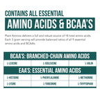 Plant Aminos Organic Essential Amino Acid Supplement (EAAs) & BCAA - 100% Plant-Based Raw, Vegan - All 9 Essential Amino Acids with 18 Total Amino Acids (360 Tablets)