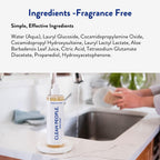 THE CLEAN PEOPLE Liquid Dish Soap - Clean, Simple Ingredients - Extra Scrubbing Power (Fragrance Free) 12 fl. oz (6 Pack)