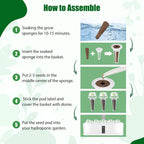 Basil Seed Pods for AeroGarden - 12 Hydroponic Refill Herb Pods with Seeds of Genovese Basil for Most Hydroponic Systems of Ahopegarden, GARDENCUBE, iDOO, and URUQ, Grow Your Own Herb Garden at Home