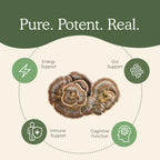 Real Mushrooms Turkey Tail Capsules – Organic Mushroom Extract for Wellness & Daily Rhythm – Vegan, Non-GMO, No Fillers Turkey Tail Extract – 90 Count Mushroom Supplement