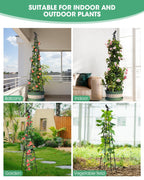 MYMULIKE 2Pack Garden Trellis for Climbing Plants Outdoor Indoor Pot 67'' Cucumber Trellis for Climbing Plant Support for Climbing Vegetables Plants Garden Obelisk Trellis Tomato cage & Climbing Rose
