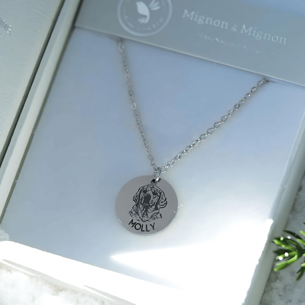 MignonandMignon Personalized Pet Gifts Custom Pet Jewelry Dog Necklace Cat Gift Custom Portrait Unique Gift LCN-AP (Silver)