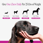 Pet Honesty Vet Recommended 10-in-1 Dog Multivitamin, 90 Ct, Peanut Butter