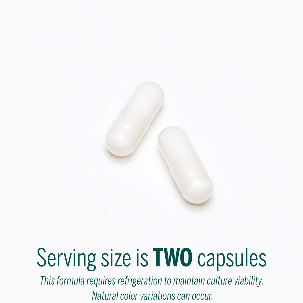 Genestra Brands HMF Capsules | Probiotic Formula to Support Healthy Gut Flora | 60 Capsules