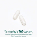 Genestra Brands HMF Capsules | Probiotic Formula to Support Healthy Gut Flora | 60 Capsules