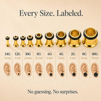 BodyJ4You 36PC Ear Stretching Kit - Complete Beginner Set Gauges for Ears 14G-00G - Goldtone Stainless Steel Tapers Single Flare Plugs Tunnels - Dead Stretching Lobe Men Women Expander Piercing