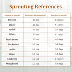 Seed Sprouting Kit with Radish 80g, 2 Large Wide Mouth Mason Jars with Sprout Lids, Blackout Sleeves, Drain Tray, Stainless Steel Stand, Sprouts Growing Kit for Growing Bean Alfalfa Sprout Seeds