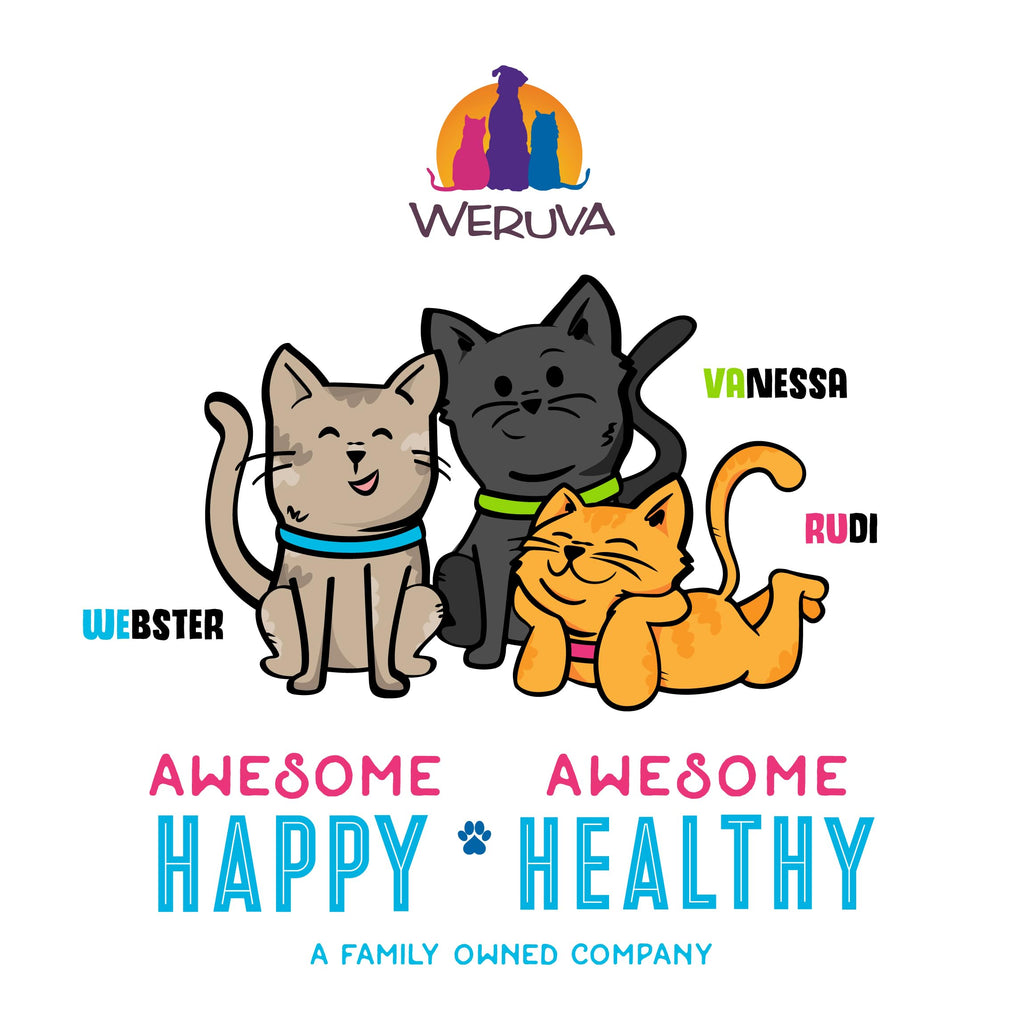 Weruva B.F.F. OMG - Best Feline Friend Oh My Gravy!, Rainbow A Gogo Variety Pack! Cat Food, 3oz Pouch (Pack of 12)