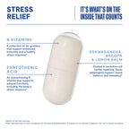 Habit Stress Relief Supplement 2 Pack (120 Capsules) - New Look, Supports Relaxation & Mood Balance, Vitamin B, Adaptogens, Lemon Balm, Calming, Vegan, Non-GMO