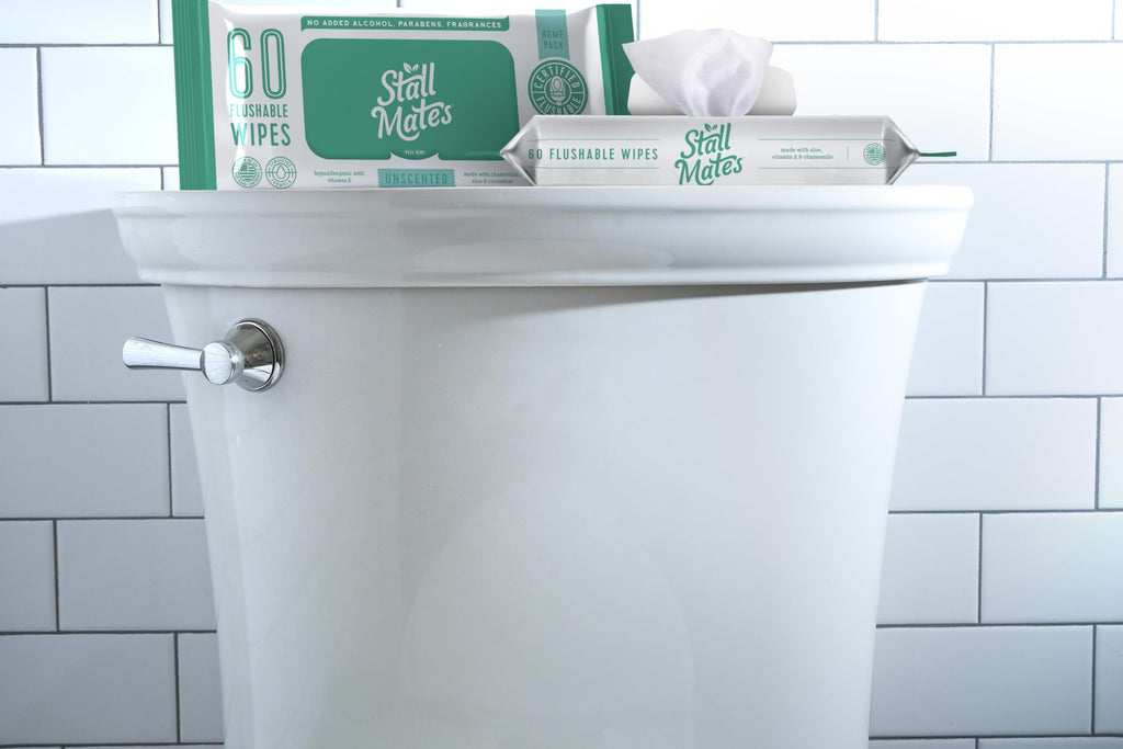 Stall Mates Wipes: Flushable Wipes, 60-Wipe Home Pack, Hypoallergenic, Unscented with Vitamin-E & Aloe, (4 Pack - 240 Total)