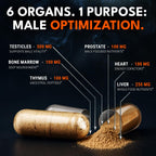 Ironclad Nutrition Beef Organ Supplement for Men - 100% Grass Fed Finished Bull Complex for Men’s Health - Freeze Dried Non-GMO Bovine Testes, Liver, Thymus, Pancreas, Heart, Bone Marrow, 120 Capsules