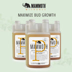 Mammoth Mammoth P 1 Litre Organic Microbial Inoculant Fertilizer