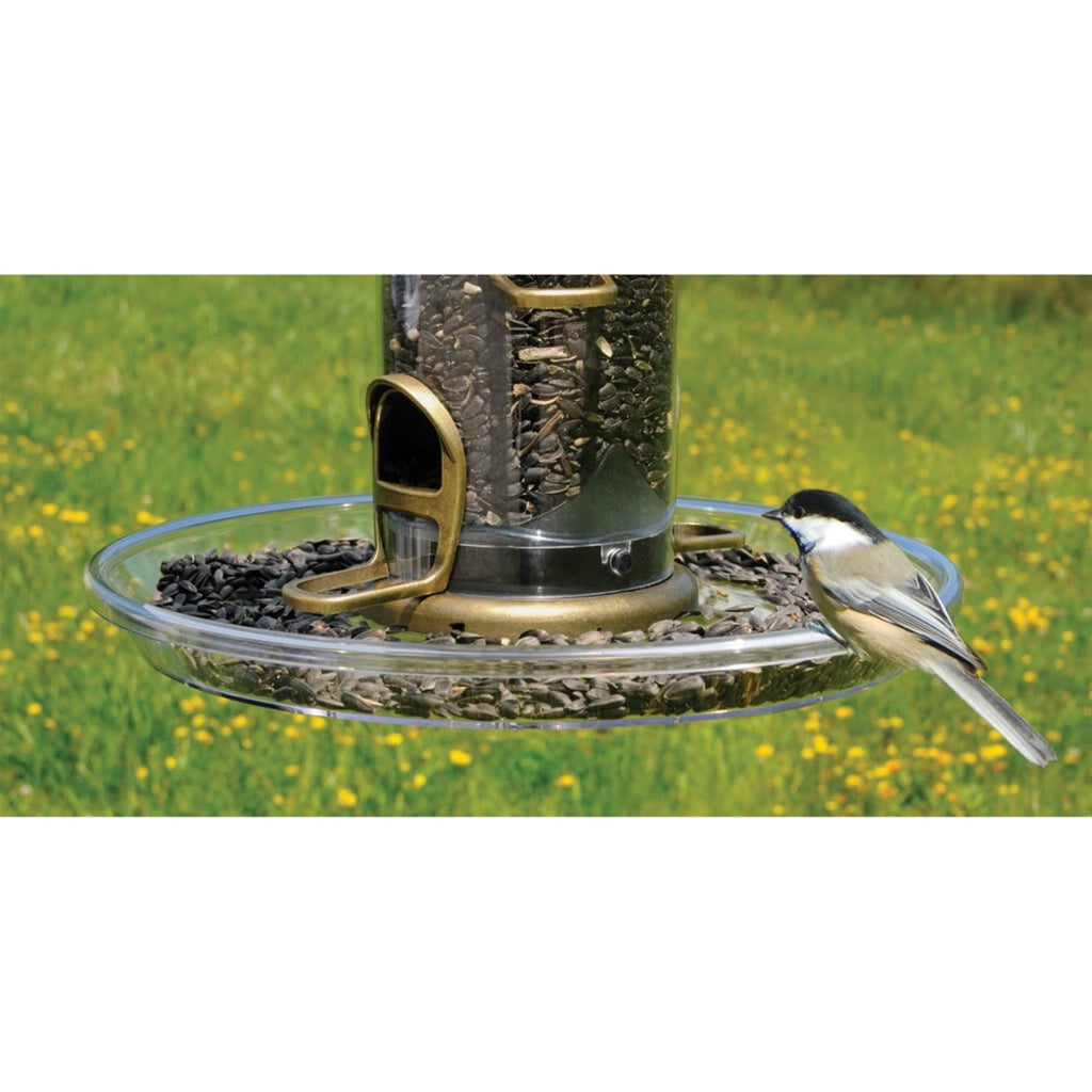 Aspects 423 Quick Clean Bigfoot Seed Tray Large