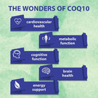 CoQ10 600mg Softgels | High Absorption CoQ10 Ubiquinol Supplement | Reduced Form Enhanced with Vitamin E & Omega 3 6 9 | Antioxidant Powerhouse Good for Health| 240 Softgels