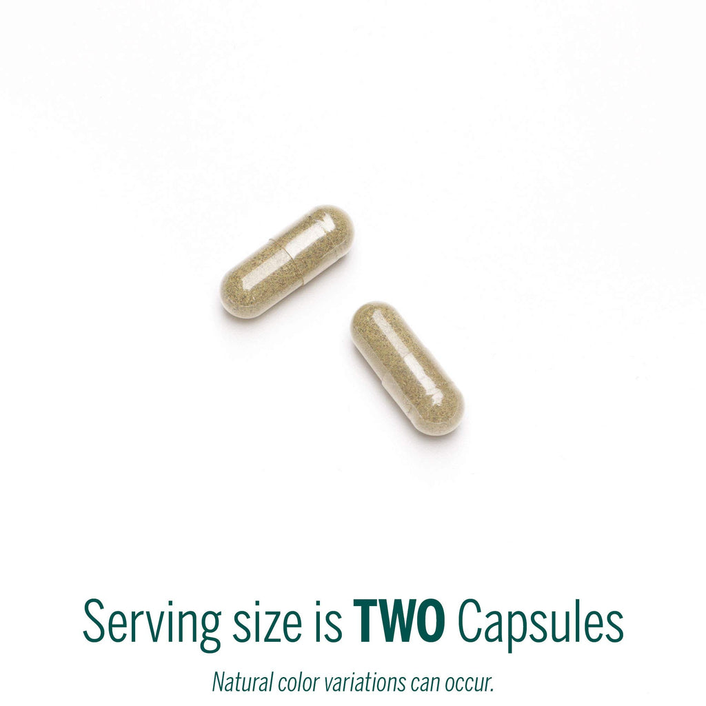 Genestra Brands Black Walnut Capsules | Herbal Formula to Support Digestive Health | 90 Capsules