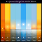 Philips Hue Smart LED A19 Bulb 1-Pack, White & Color Ambiance, E26 Base, 7.2W, Full Spectrum Light 1000K-20000K, 810 Lumens, Dimmable, Works with Alexa, Google, & Apple Home