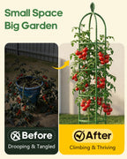 2 Pack 6.2ft High Adjustable Garden Trellis for Climbing Plants, Green