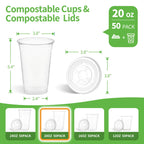 CCWOFF PLA 20 OZ Compostable Clear Plastic Disposable Iced Coffee Cups with Flat Lids, Biodegradable Cold Drinking To Go Coffee Cups for Party, Smoothie, Boba Tea, Slushy, Milkshake 50 Sets