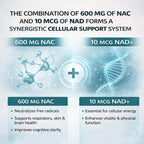 Prspy The Standard Lab NAC 600mg Non-GMO, Gluten Free,Organic NAC Supplement N-Acetyl Cysteine Capsules with NAD+ for Cellular & Lung Health, 300 Softgels