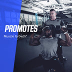 Bodybuilding.com Signature Creatine Monohydrate Powder, Pure Creatine, Muscle Size, Strength, Power, Performance, Recovery, 400 Grams, 80 Servings, Unflavored