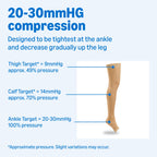 Amazon Basic Compression Stockings, 20-30 mmHg, Women & Men, Thigh Length | Open Toe | Beige | Large | Pack of 2 (Previously Amazon Basic Care)