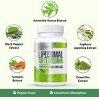 Osasuna 900 mg Liposomal Artemisinin for Maximum Absorption, Sweet Wormwood Extract(Artemisia Annua) with Quercetin Phytosome 200 mg, 60 Softgels - 2 Months Supply