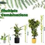 8 Pack Monstera Plant Support Stakes, Detachable Twig Plant Support
