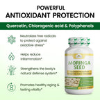 Organic Veda Moringa Seeds Capsules - Omega 3, 6, 9, Powerful Antioxidants, Vitamins, Amino Protein Rich Organic Moringa Seeds for Eating - Moringa Seed Powder Energy & Vitality, 120 Vegan Capsule