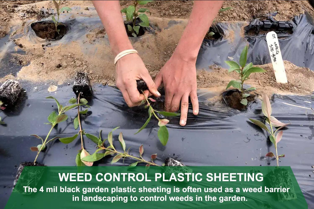 Feitore 4 Mil Black Plastic Sheeting Weed Barrier Landscape Fabric Heavy Duty Plastic Roll for Garden Multi Use Polyethylene Sheeting, 3FT x 100FT