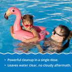 In The Swim Quick Clear Yellow - Turn Your Pool Water from Yellow and Cloudy to Sparkling Blue - 2 Pound