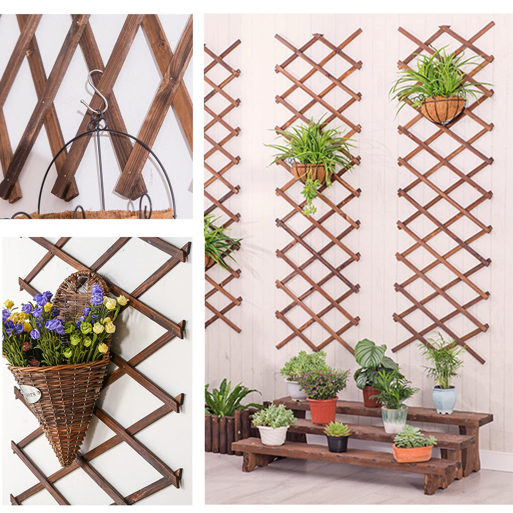 2Pack Expandable Wooden Lattice Wall,Plant Garden Trellis for Climbing Plants Outdoor, Plant Vertical Rack Wall Decor Indoor
