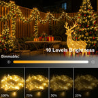 2 Pack Fairy String Lights Plug in Twinkle Lights with Remote for Bedroom