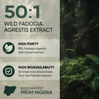 Jungle Powders Fadogia Agrestis Extract for Men 50:1 Concentration 313 Servings - 5 Ounces of Pure Nigerian Fadogia Supplement Traditional Mens Health Support for Drive & Passion Contains Maltodextrin