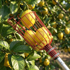 ARTIPOLY 20FT Reach Telescoping Fruit Picker, 4-12FT Adjustable Aluminum Pole with Basket, Lightweight Heavy Duty Tool for Harvesting Apples Mangoes Avocados Pears Lemons
