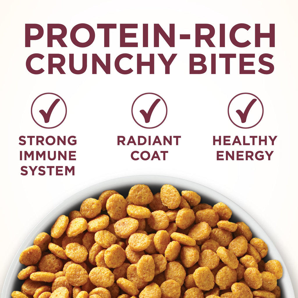 Purina ONE High Protein Urinary Tract Health Dry Cat Food, 16 lb Bag