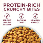 Purina ONE High Protein Urinary Tract Health Dry Cat Food, 16 lb Bag