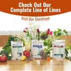 Vegetable & Fruit Seeds, 32 Packs, Non-GMO, 15,000+ Seeds