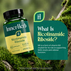 InnerHerb Nicotinamide Riboside (NR) 1000mg | Vitamin B3 Derivative | Single Ingredient | 60 Vegan Capsules | Unflavored | 2 Capsules Daily | 30-Day Supply