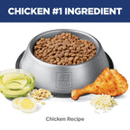 Hill's Science Diet Sensitive Stomach & Skin Small & Mini Dry Dog Food