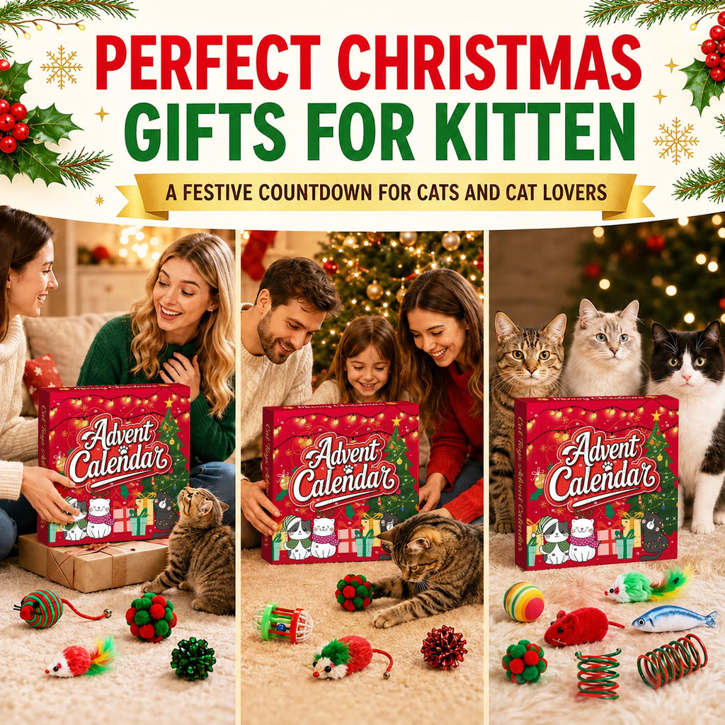 Cat Advent Calendar 2026, 24 Days Assorted Interactive Toys for Indoor Cats
