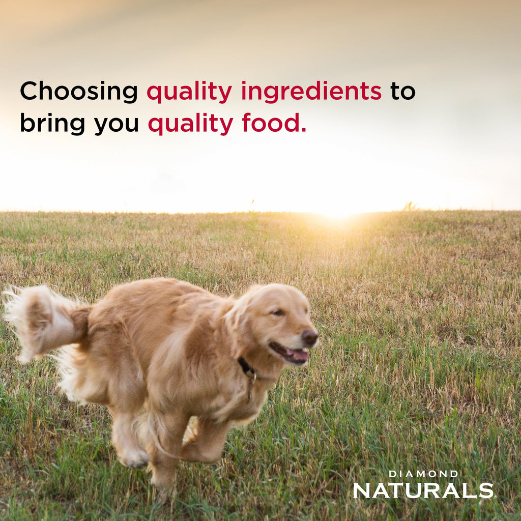 Diamond Naturals Skin & Coat Puppy, Adult & Senior Dry Dog Food Salmon 30lb