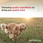 Diamond Naturals Skin & Coat Puppy, Adult & Senior Dry Dog Food Salmon 30lb