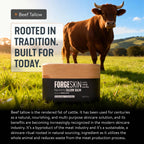 Forge Skin® Wrinkle Defense Beef Tallow Balm [TALLOW-BASED] Moisturizer for Face Hydration - Hydrating Anti Aging Skin Cream - Natural Facial Skincare Lotion with Essential Oils (1.76 OZ)