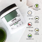 Nature's Pure Blend Super Greens Powder – Organic Greens Superfood Powder Supplements for Green Juice & Smoothie – Probiotic - Drink Mix for Energy Wellness and Digestion (Matcha Flavor, 30 Servings)