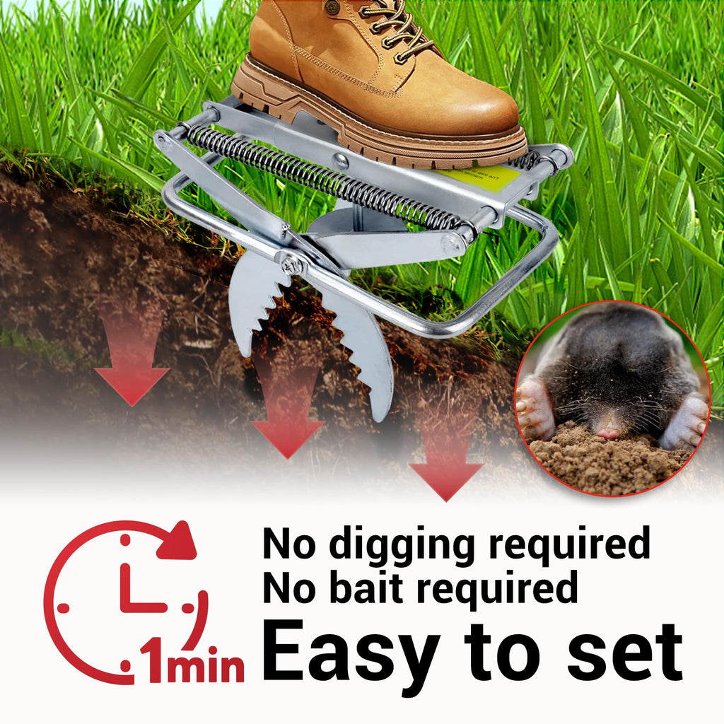 Mole Trap Scissor 2 Pack, Upgraded Mole Traps for Lawns that Kill Best, Galvanized Steel Mole Killer, Step Setup