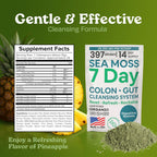 Atlantic Naturals Sea Moss 7-Colon Cleanse Powder | Formulated with Psyllium Husk, Fiber, & Senna Powder | Supports Immune & Gut Health for Women & Men, Pineapple Flavor Drink Mix, 14 oz