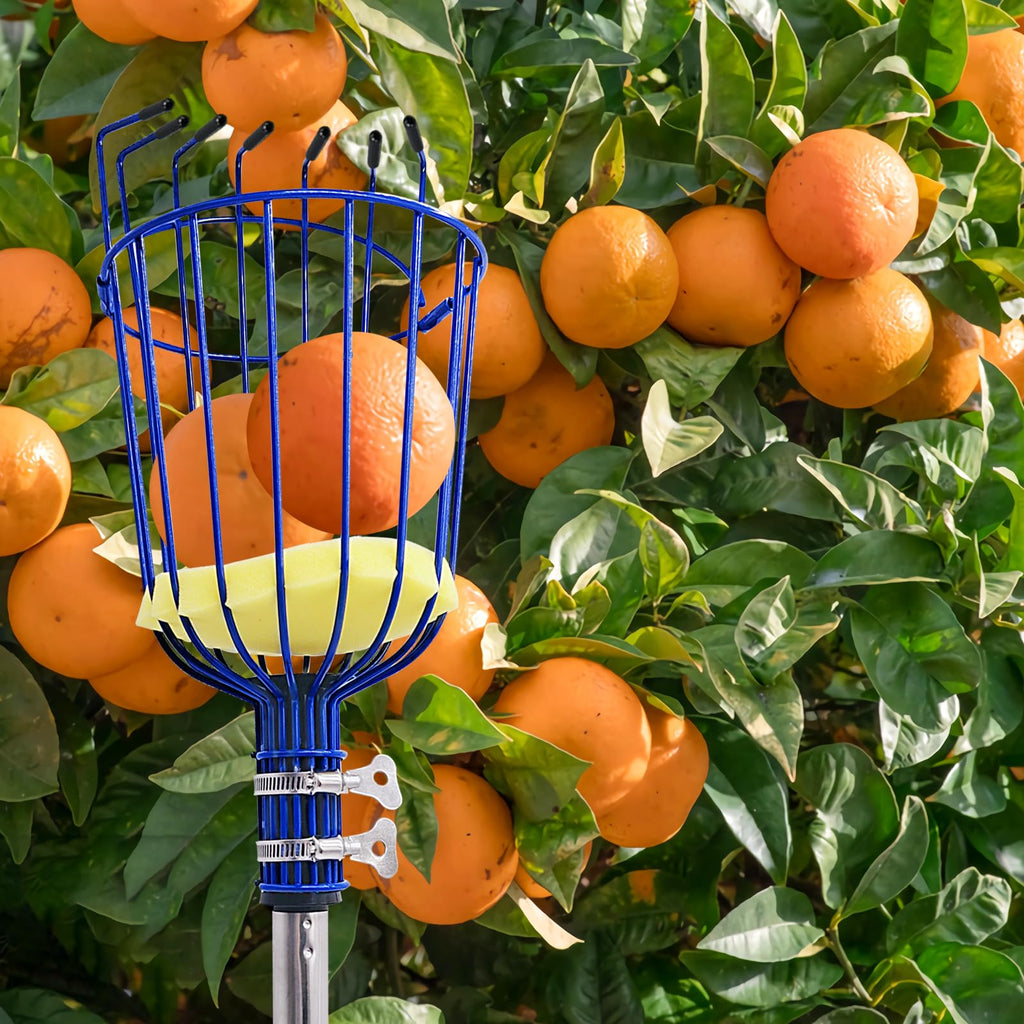 PEAKCLOUDS Fruit Picker Tool with Basket, 35-72 Inch Adjustable Long Handle Fruit Picking Pole - for Harvesting Lemon Avocado Apple Mango Pear Orange & Tall Tree Fruits